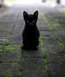 Be Kind and Merciful