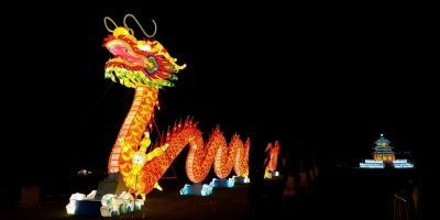 The Girl with the Dragon Tattoo by Stieg Larsson