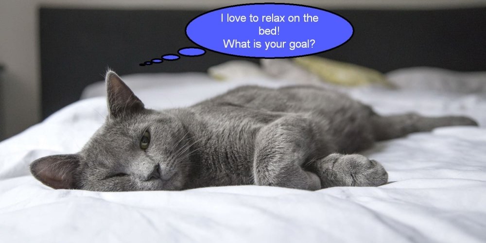 How to create a goal?