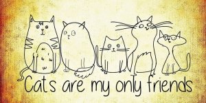 The Unadulterated Cat by Terry Pratchett